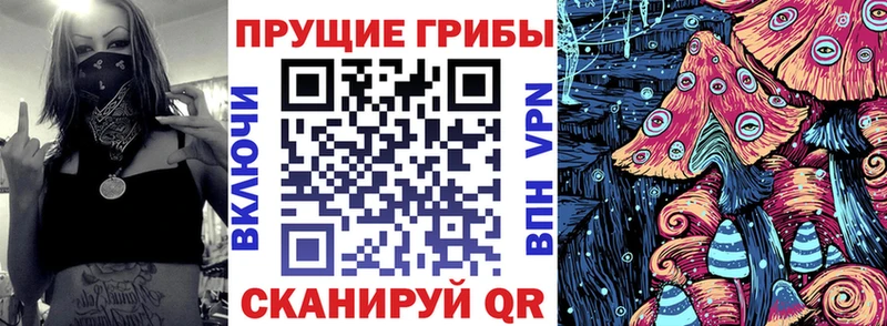 Галлюциногенные грибы Psilocybine cubensis  сколько стоит  Белый 